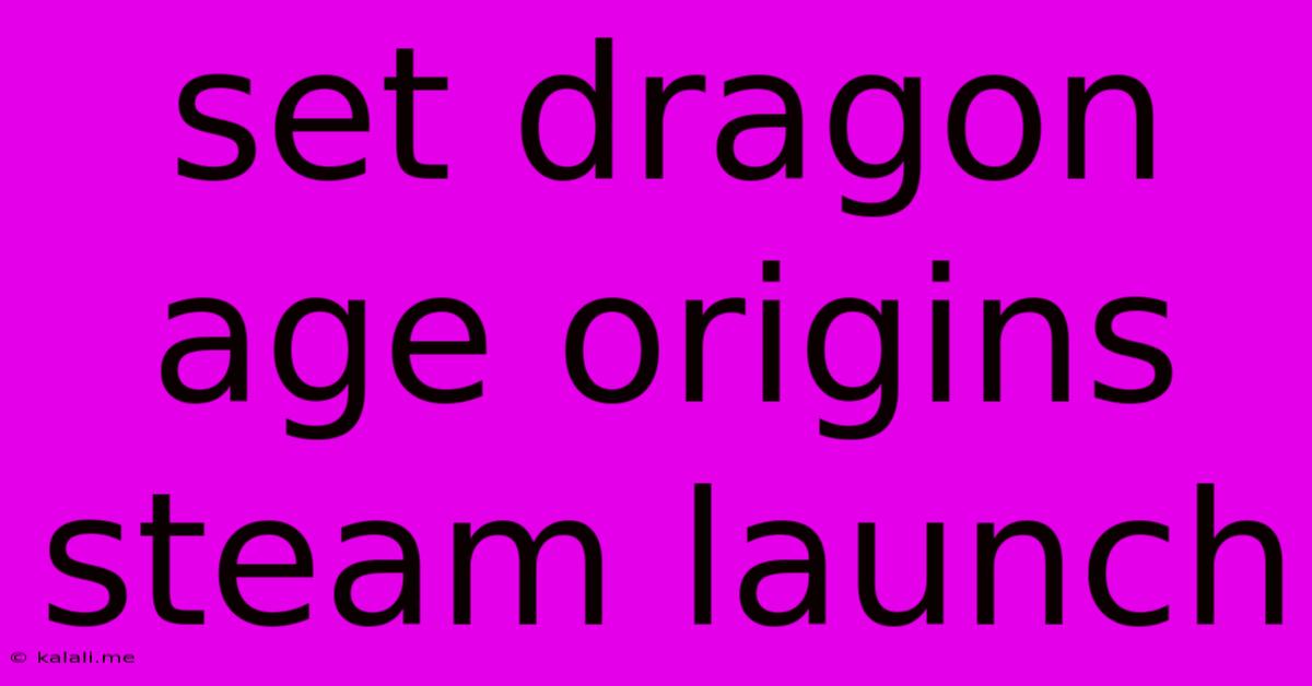 Set Dragon Age Origins Steam Launch