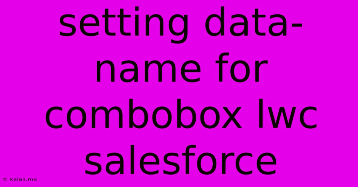 Setting Data-name For Combobox Lwc Salesforce