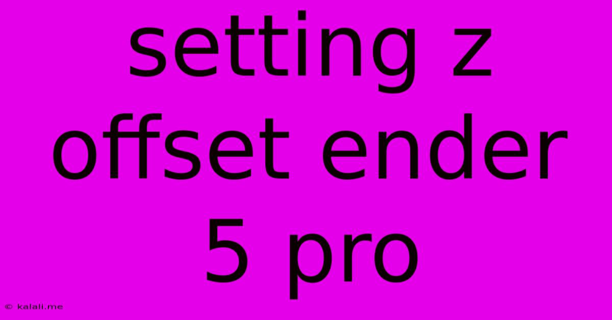 Setting Z Offset Ender 5 Pro