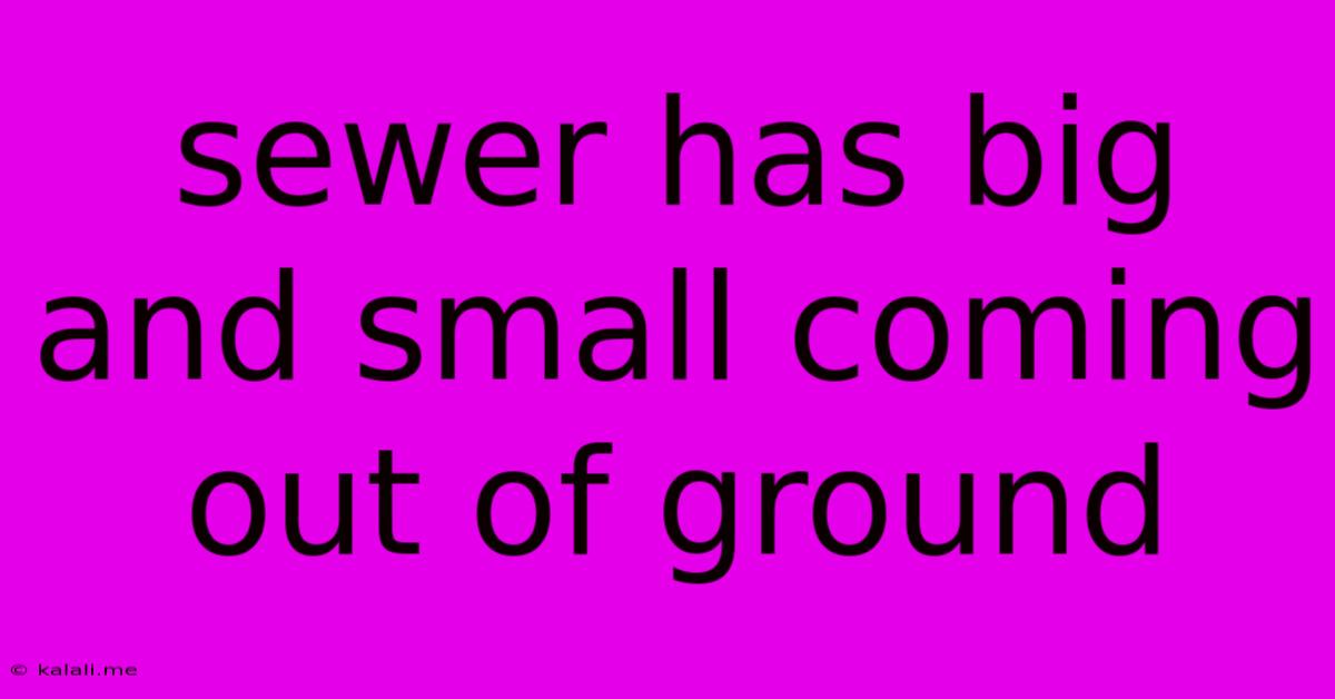 Sewer Has Big And Small Coming Out Of Ground