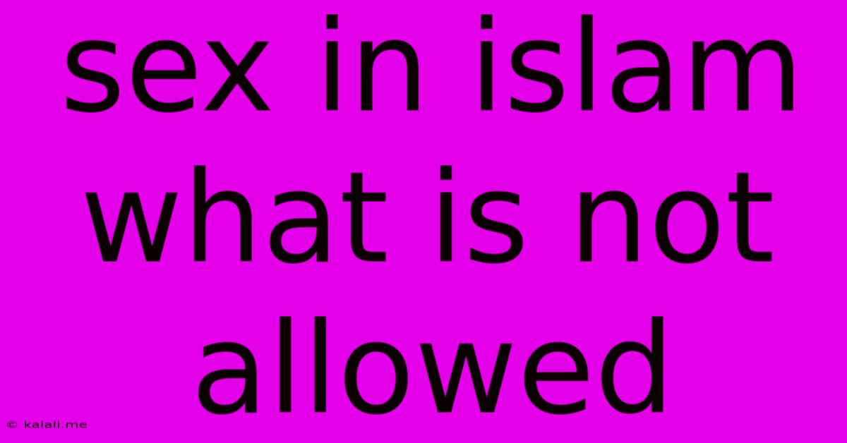 Sex In Islam What Is Not Allowed