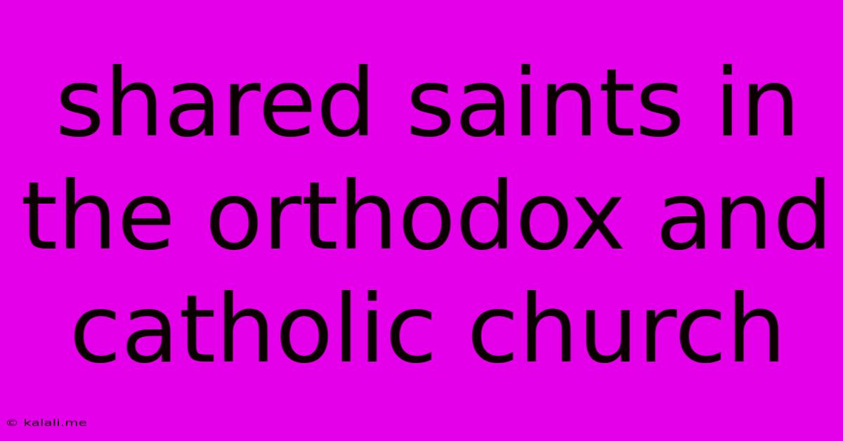 Shared Saints In The Orthodox And Catholic Church