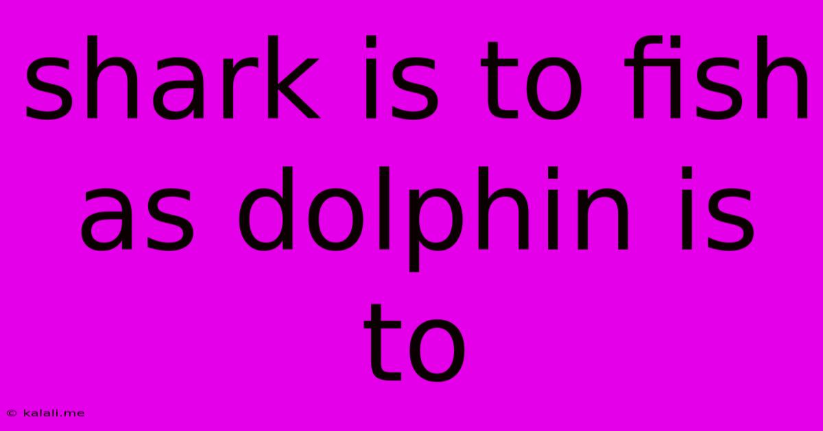 Shark Is To Fish As Dolphin Is To