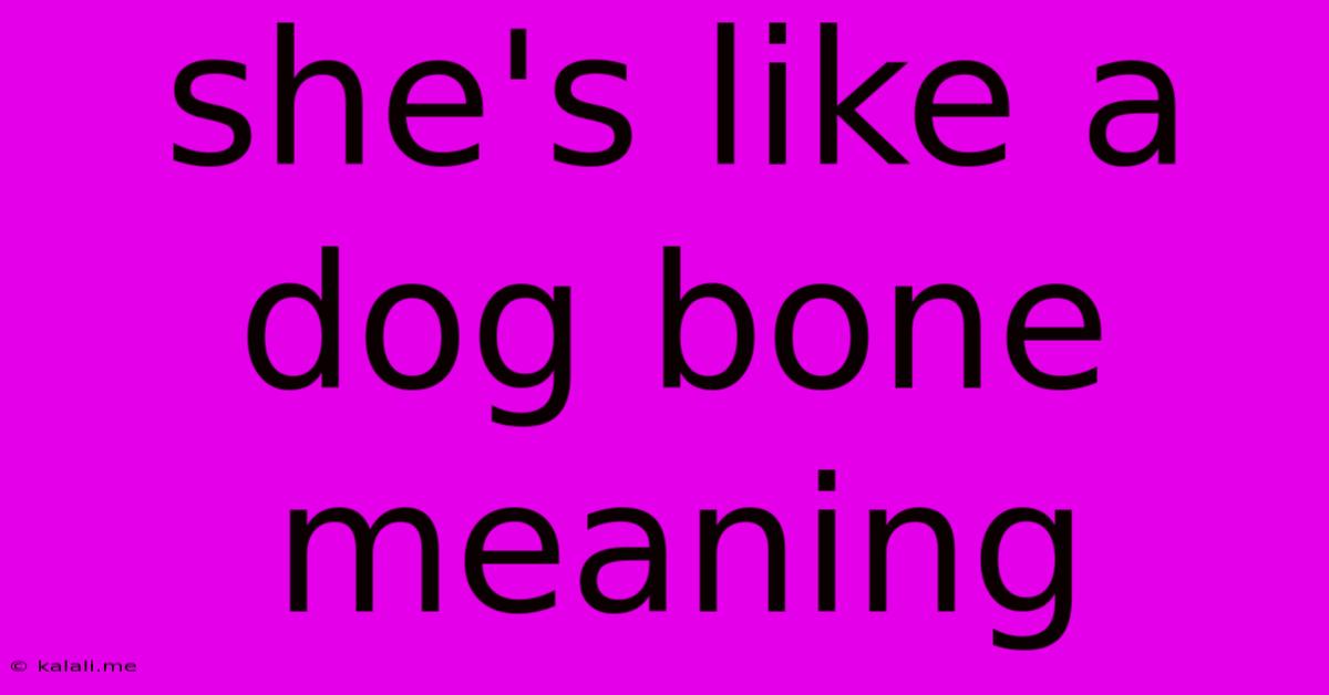 She's Like A Dog Bone Meaning