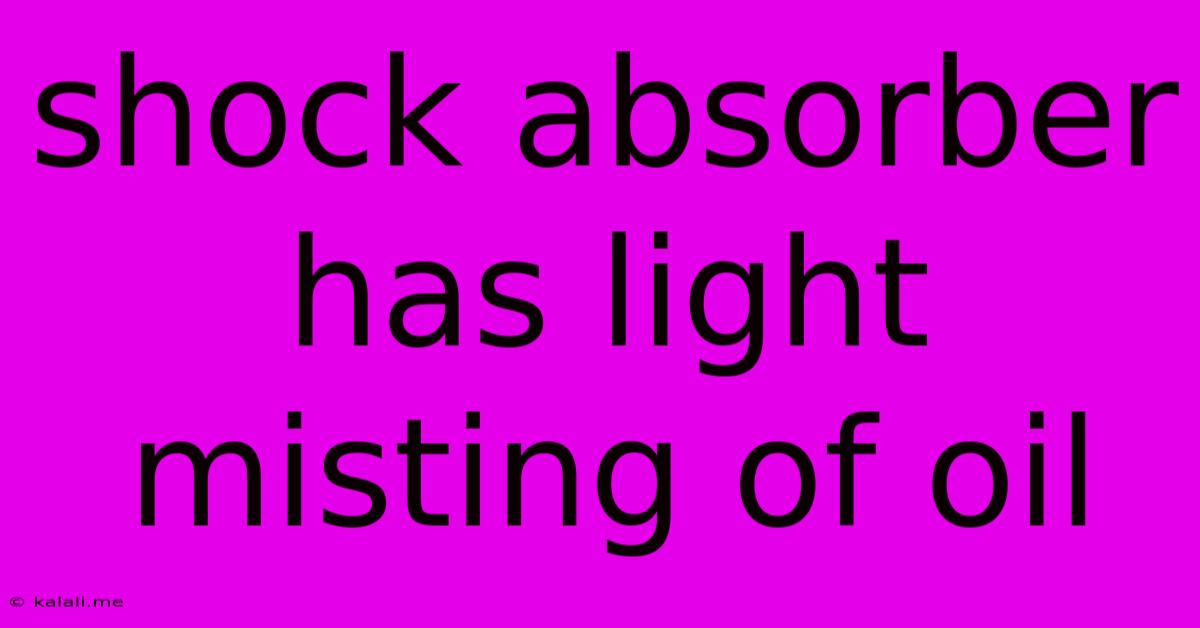 Shock Absorber Has Light Misting Of Oil