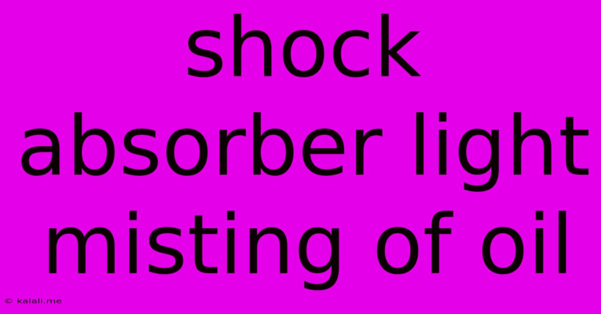 Shock Absorber Light Misting Of Oil