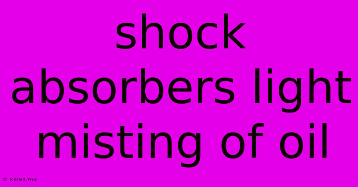 Shock Absorbers Light Misting Of Oil