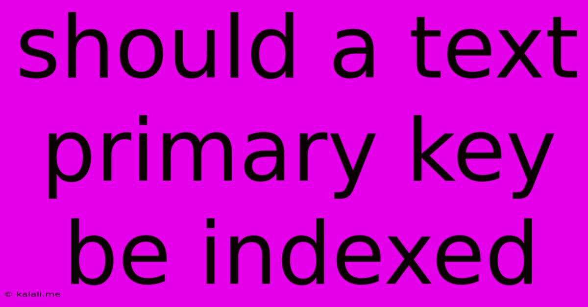 Should A Text Primary Key Be Indexed