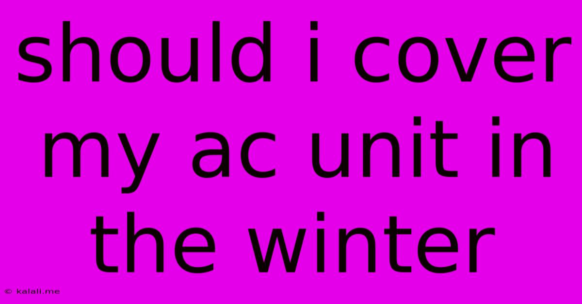 Should I Cover My Ac Unit In The Winter