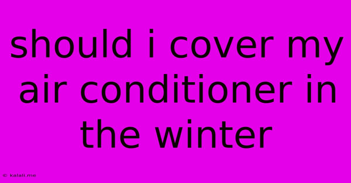 Should I Cover My Air Conditioner In The Winter