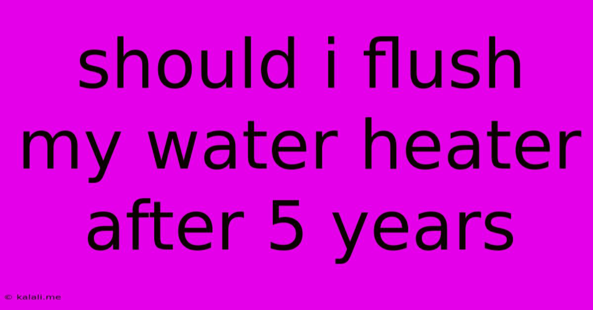 Should I Flush My Water Heater After 5 Years