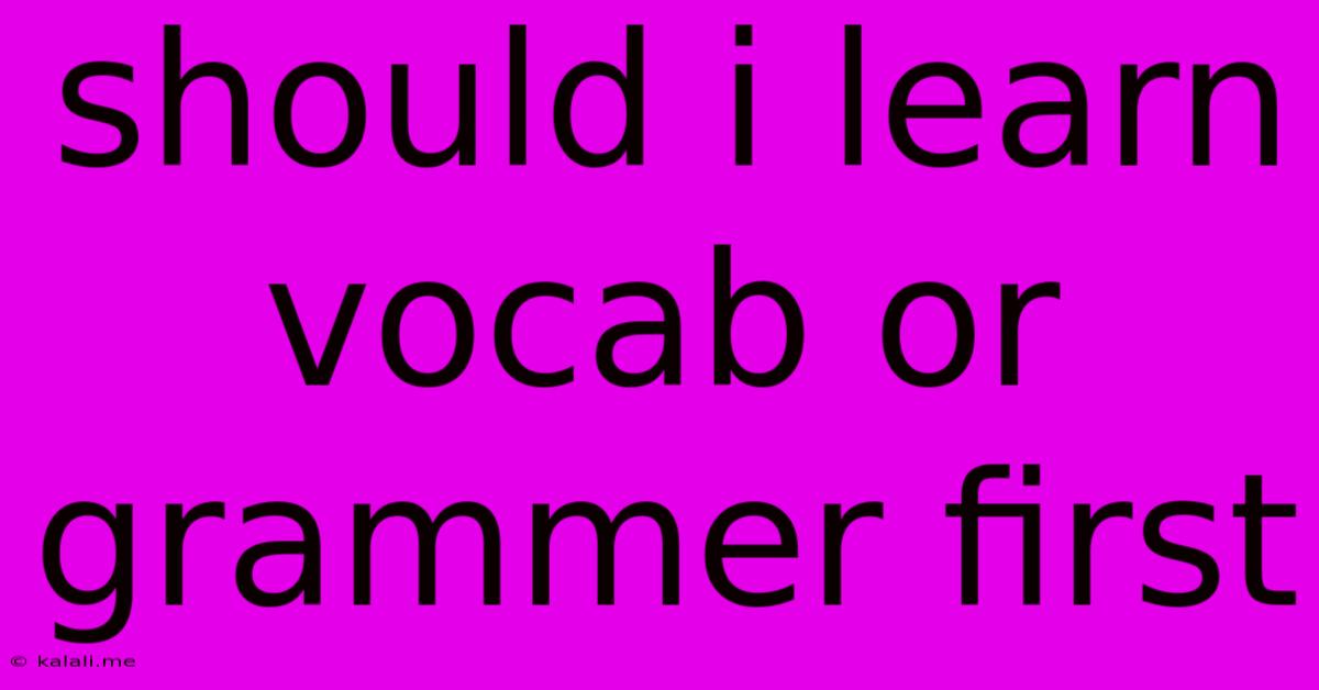 Should I Learn Vocab Or Grammer First
