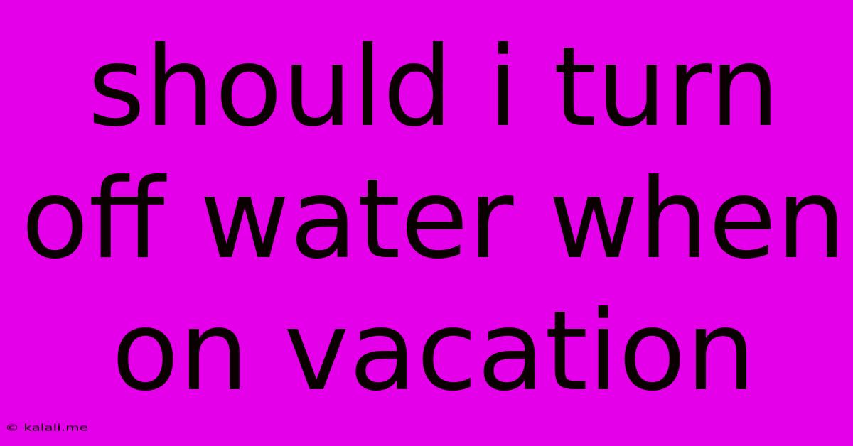 Should I Turn Off Water When On Vacation