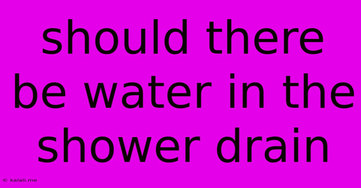 Should There Be Water In The Shower Drain