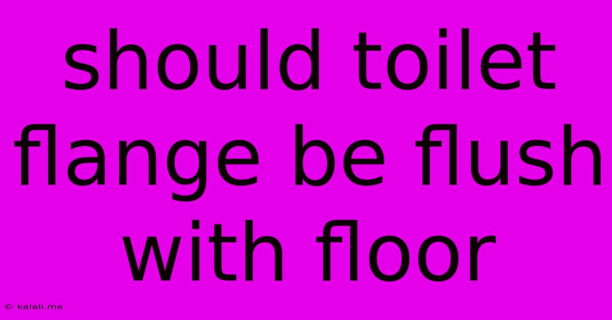 Should Toilet Flange Be Flush With Floor