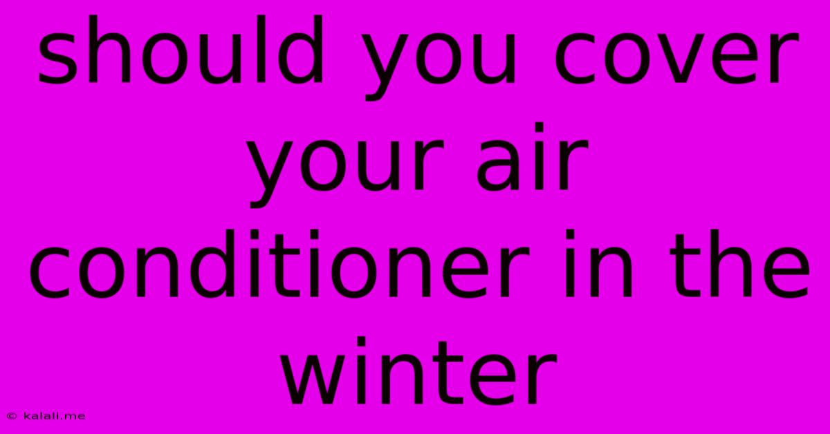 Should You Cover Your Air Conditioner In The Winter