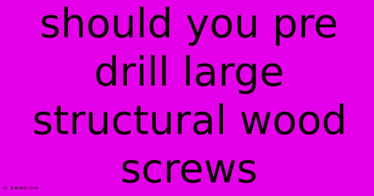 Should You Pre Drill Large Structural Wood Screws
