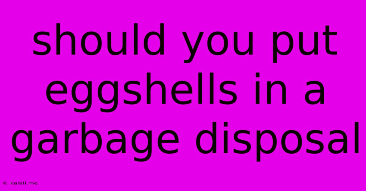 Should You Put Eggshells In A Garbage Disposal