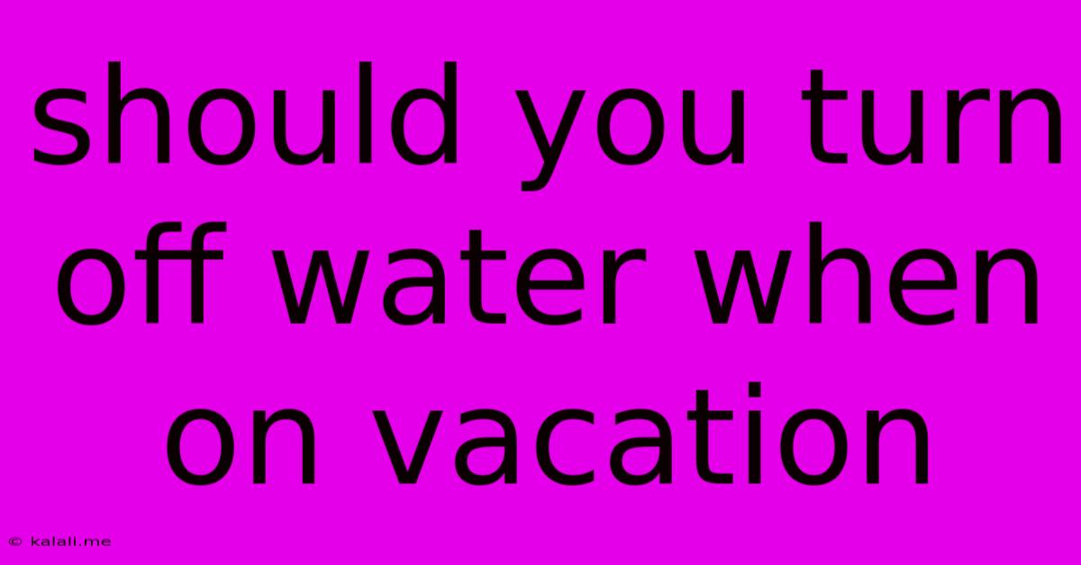 Should You Turn Off Water When On Vacation