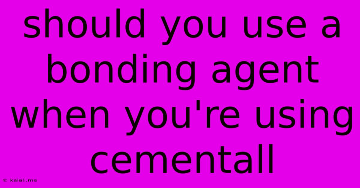 Should You Use A Bonding Agent When You're Using Cementall