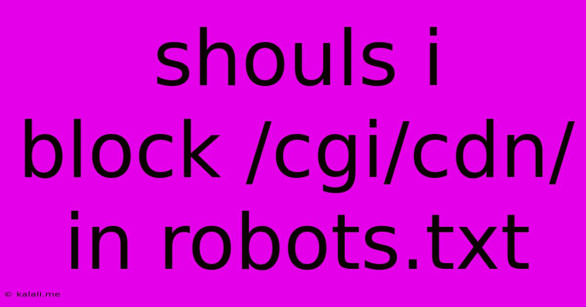 Shouls I Block /cgi/cdn/ In Robots.txt