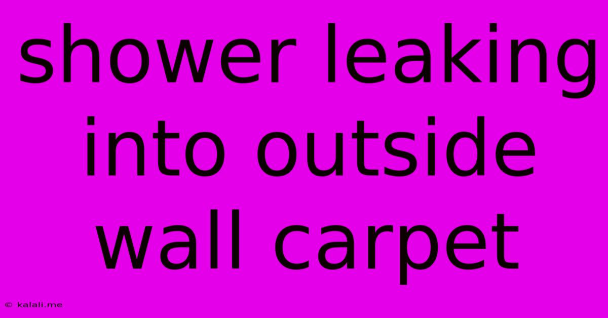 Shower Leaking Into Outside Wall Carpet