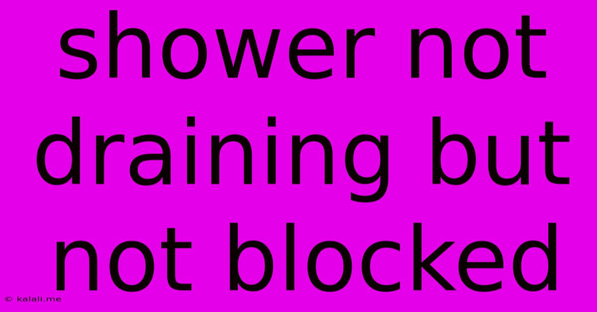 Shower Not Draining But Not Blocked
