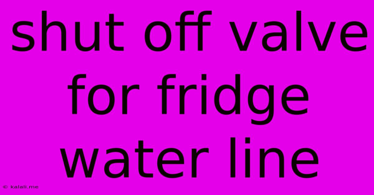 Shut Off Valve For Fridge Water Line