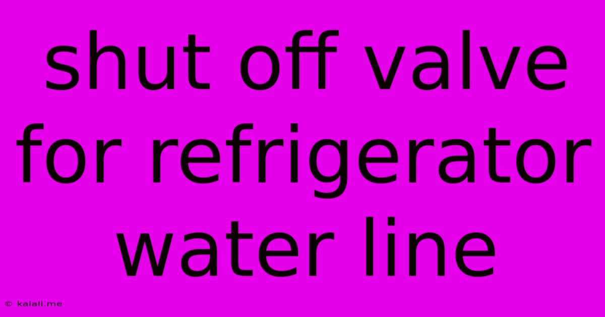 Shut Off Valve For Refrigerator Water Line