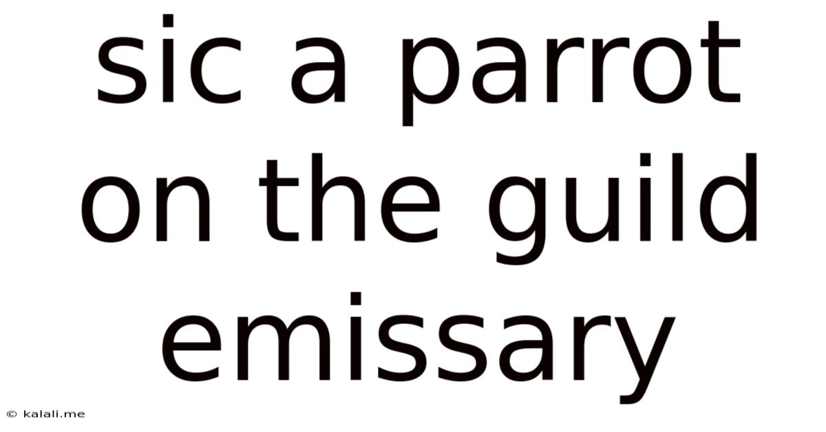 Sic A Parrot On The Guild Emissary
