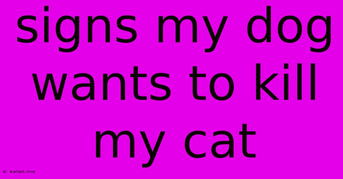 Signs My Dog Wants To Kill My Cat