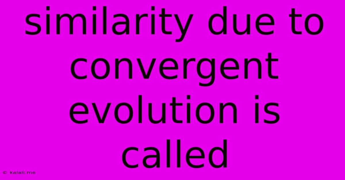 Similarity Due To Convergent Evolution Is Called