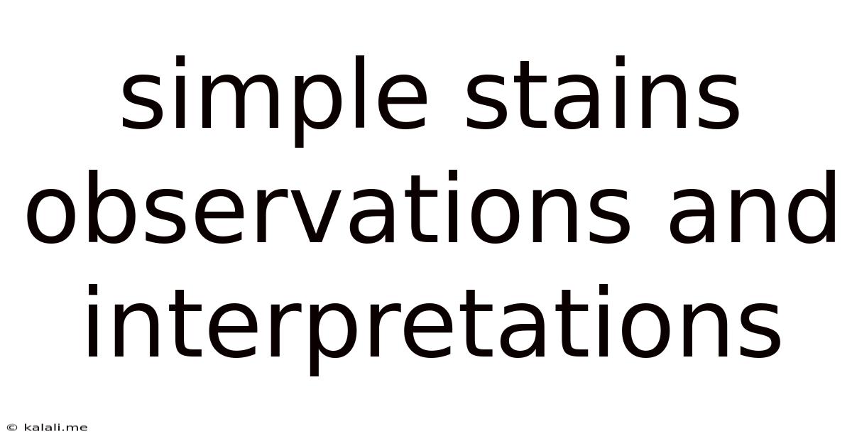 Simple Stains Observations And Interpretations