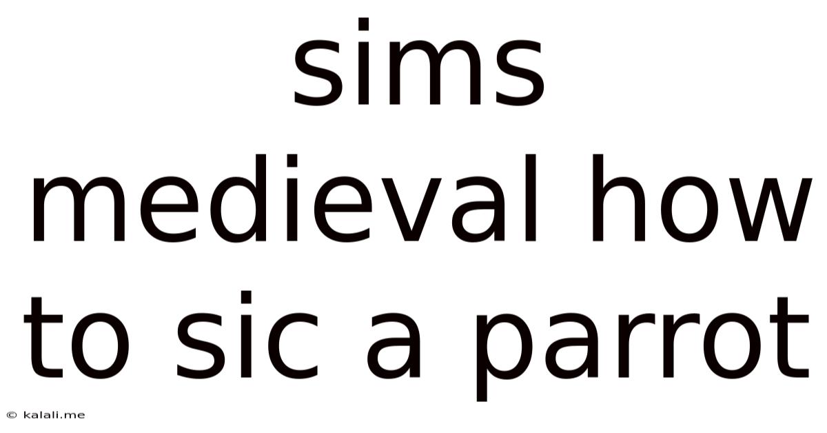 Sims Medieval How To Sic A Parrot