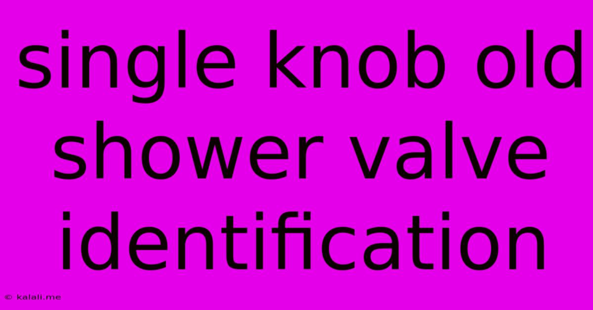 Single Knob Old Shower Valve Identification