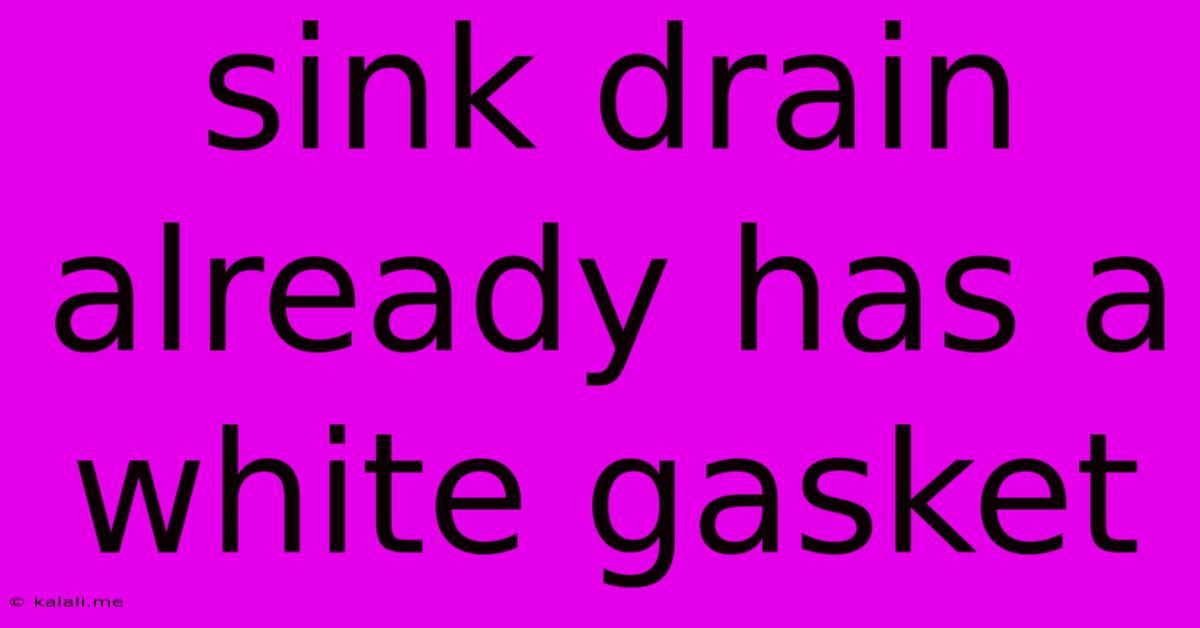 Sink Drain Already Has A White Gasket