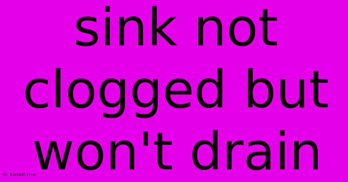 Sink Not Clogged But Won't Drain