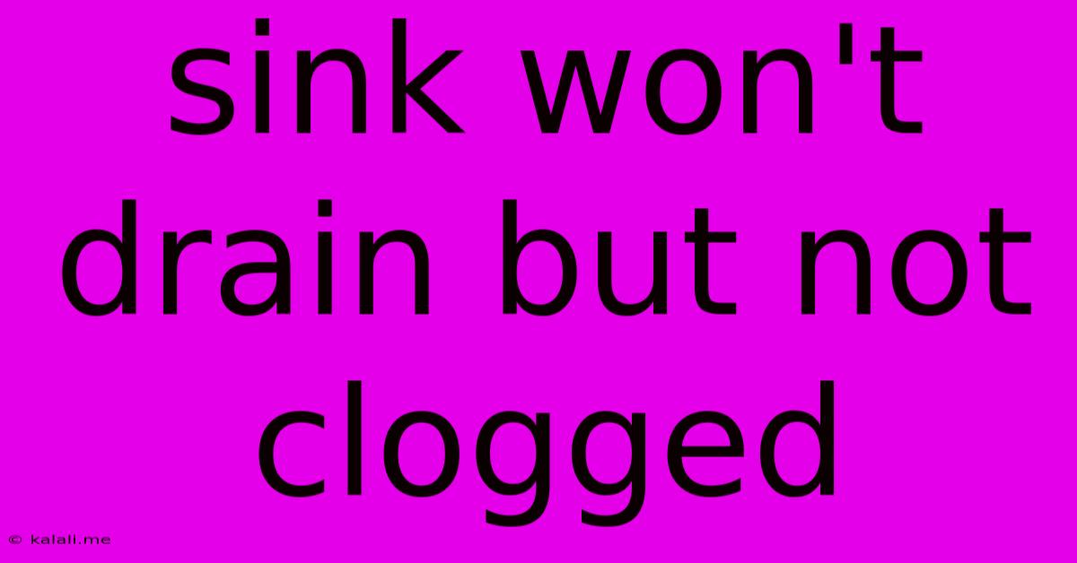 Sink Won't Drain But Not Clogged