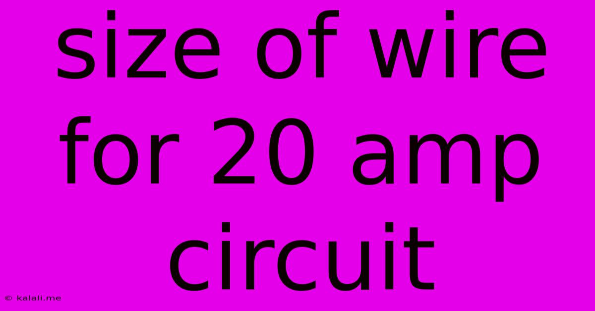 Size Of Wire For 20 Amp Circuit
