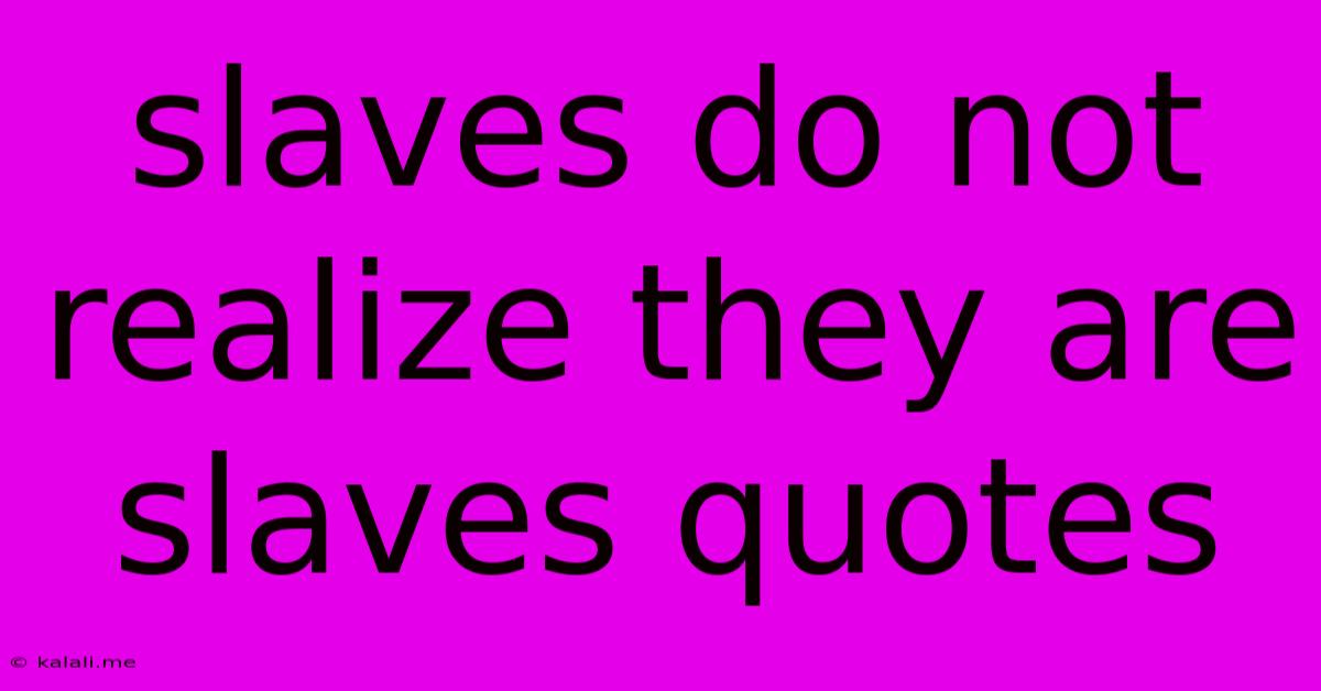 Slaves Do Not Realize They Are Slaves Quotes