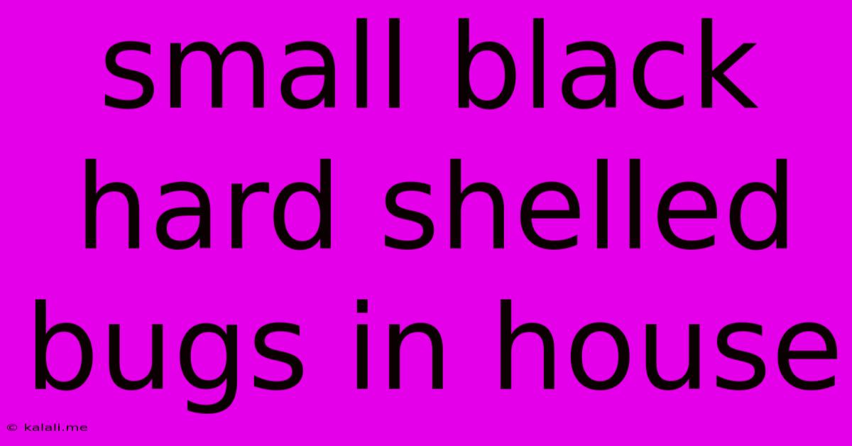 Small Black Hard Shelled Bugs In House