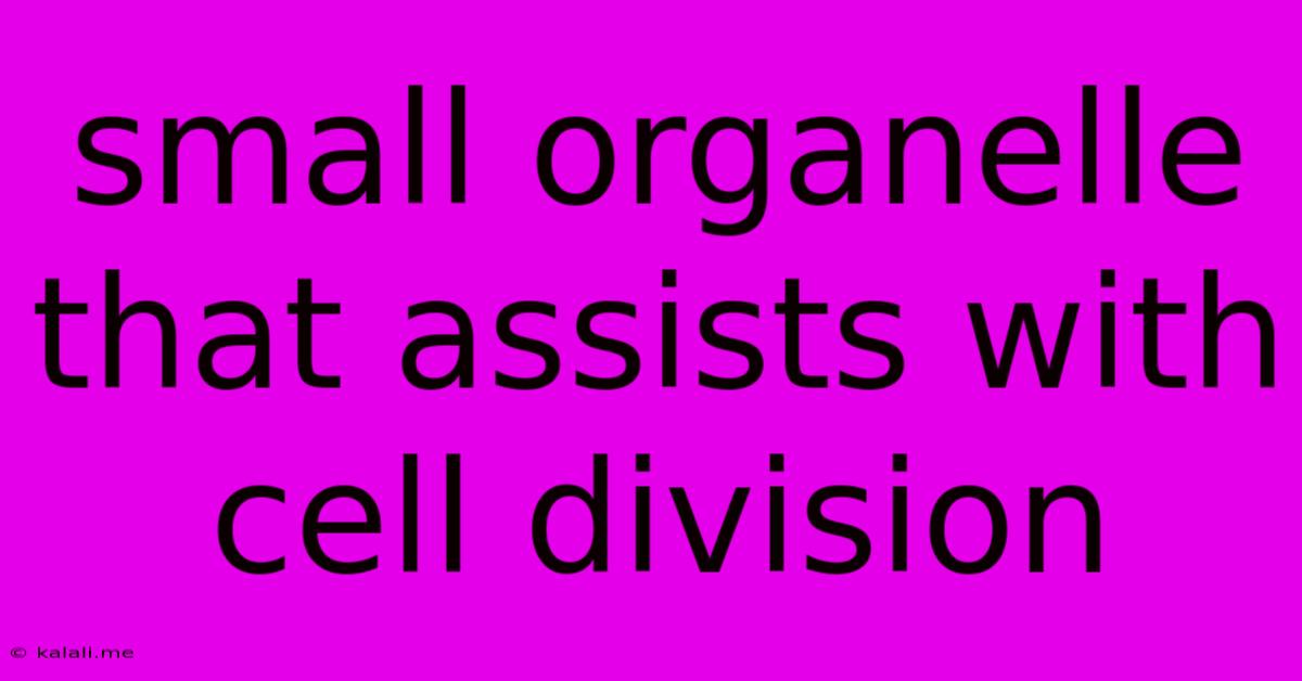 Small Organelle That Assists With Cell Division
