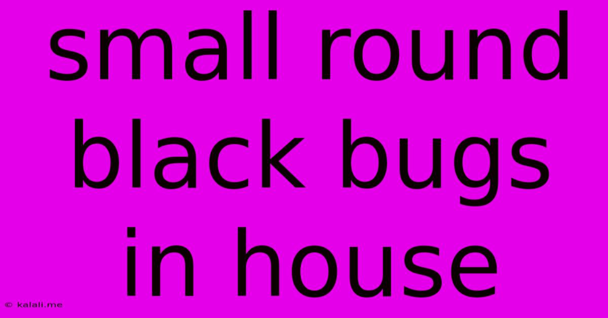 Small Round Black Bugs In House