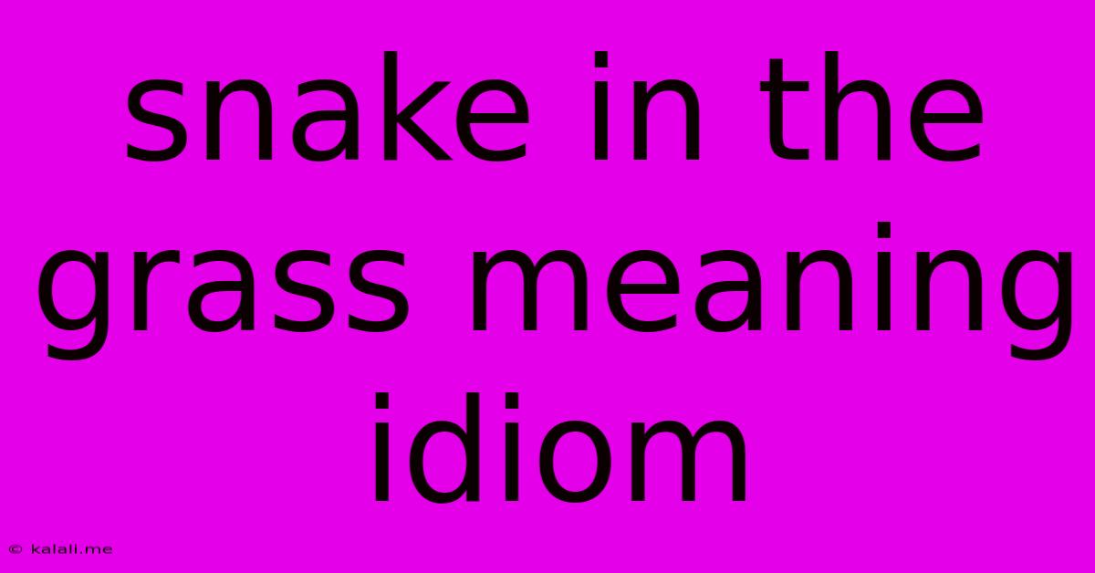 Snake In The Grass Meaning Idiom