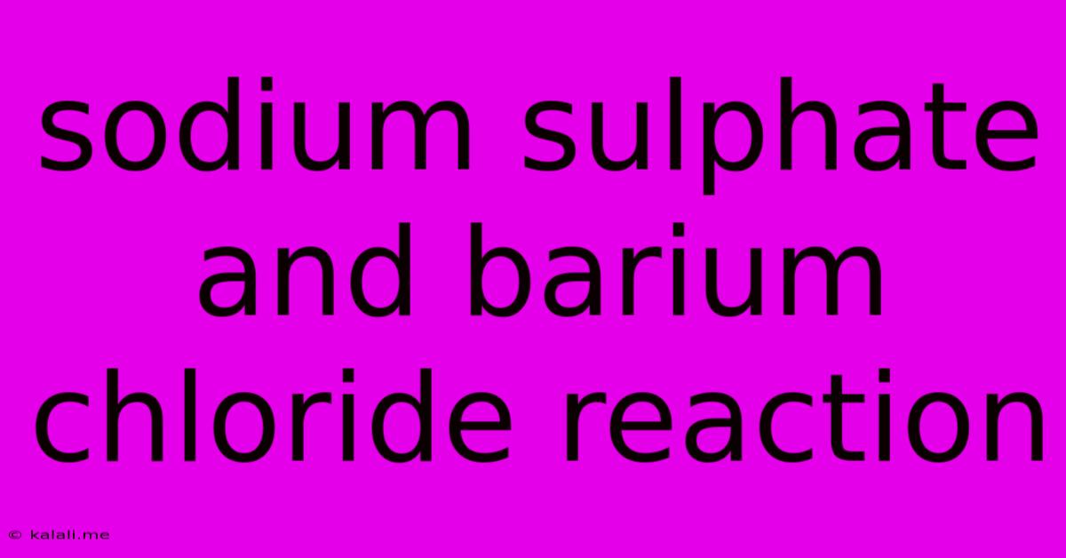 Sodium Sulphate And Barium Chloride Reaction