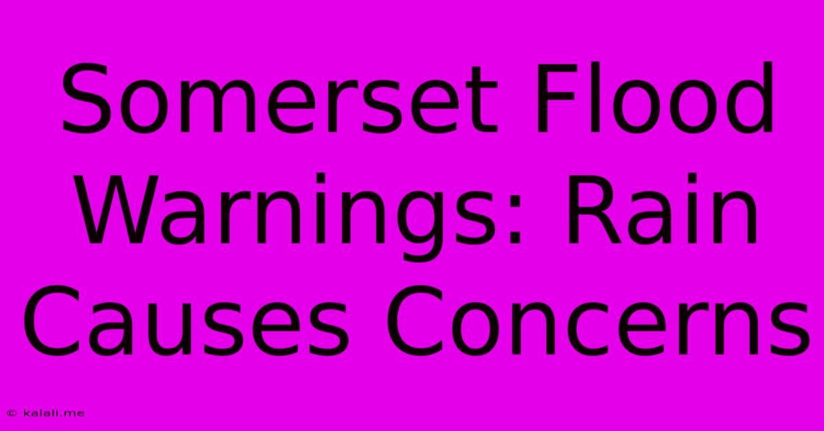 Somerset Flood Warnings: Rain Causes Concerns