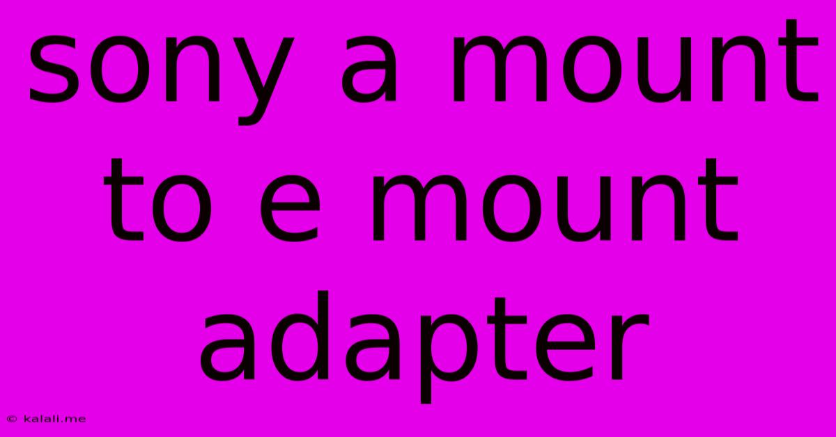 Sony A Mount To E Mount Adapter