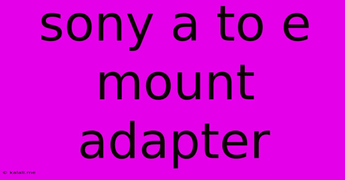Sony A To E Mount Adapter