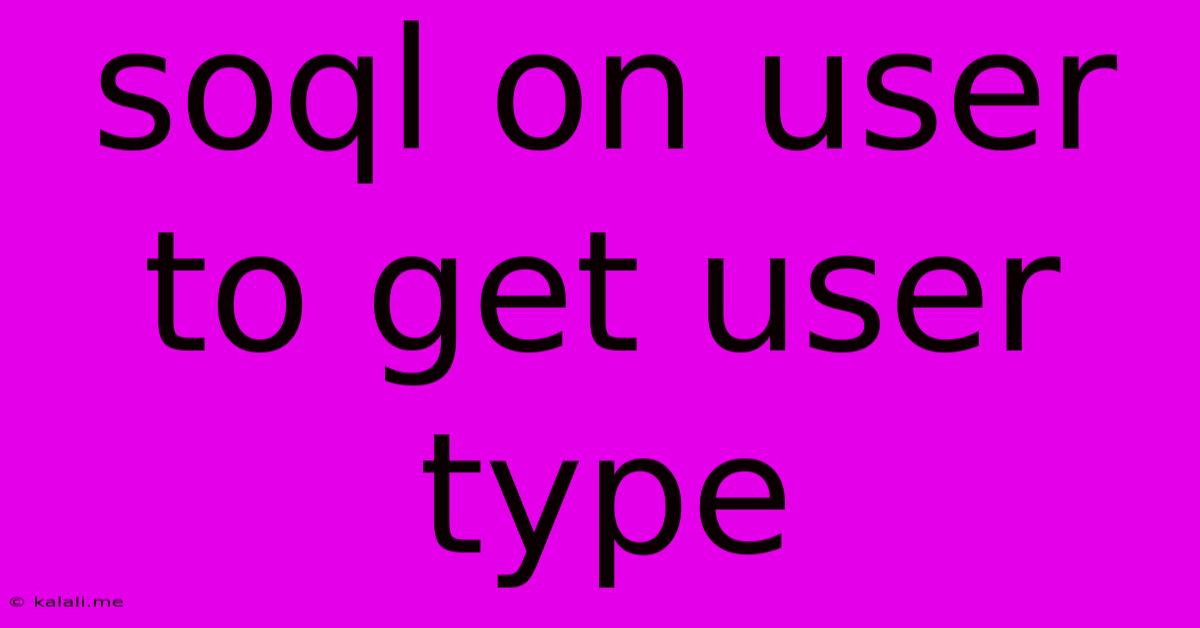 Soql On User To Get User Type