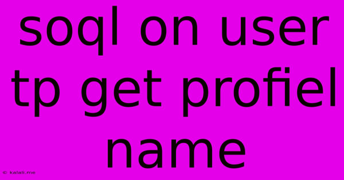 Soql On User Tp Get Profiel Name